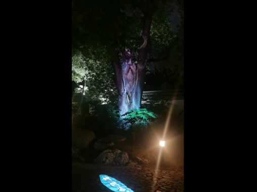 3D Mapping投影-神樹蘇醒-蘇州好奇數(shù)字科技有限公司