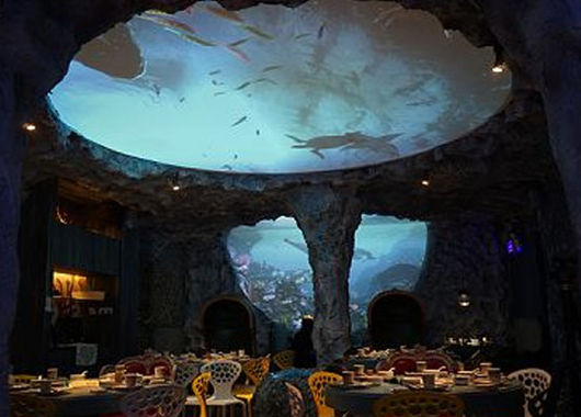 天幕投影在餐廳的應(yīng)用場景