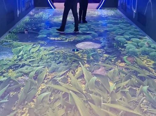 魚(yú)水地面投影互動(dòng)-蘇州好奇數(shù)字科技有限公司