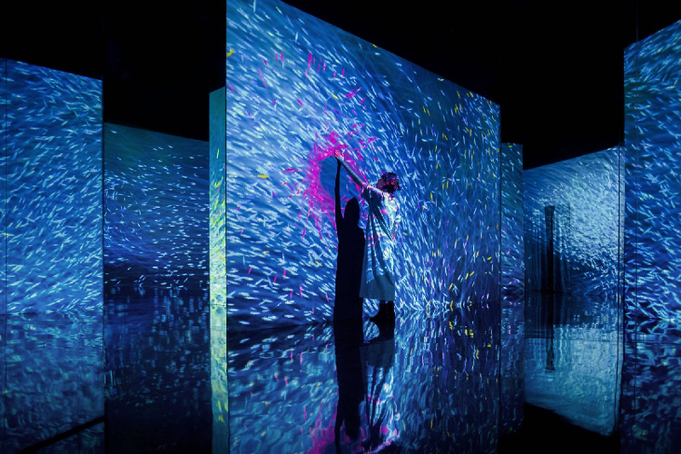 沉浸式互動投影多少錢-蘇州好奇數(shù)字科技有限公司